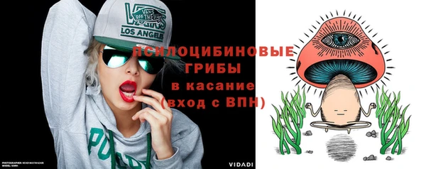 прущая мука Осинники