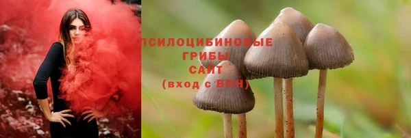 прущая мука Осинники