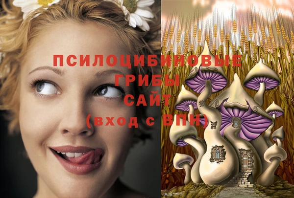 бошки Бугульма