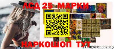 дмт Гатчина