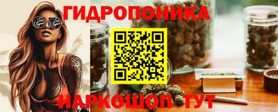 дмт Гатчина