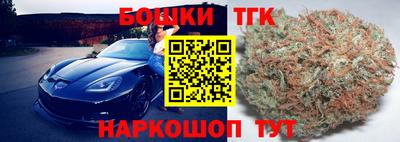 дмт Гатчина