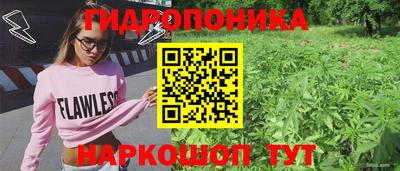 Альфа ПВП Гай
