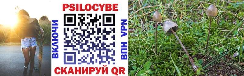 Галлюциногенные грибы ЛСД omg как войти Сафоново