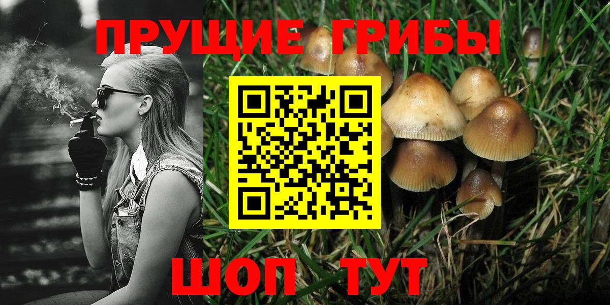 Псилоцибиновые грибы Magic Shrooms  Сафоново 