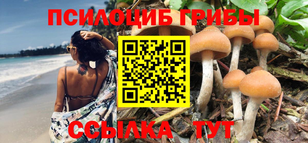 Галлюциногенные грибы Cubensis Сафоново