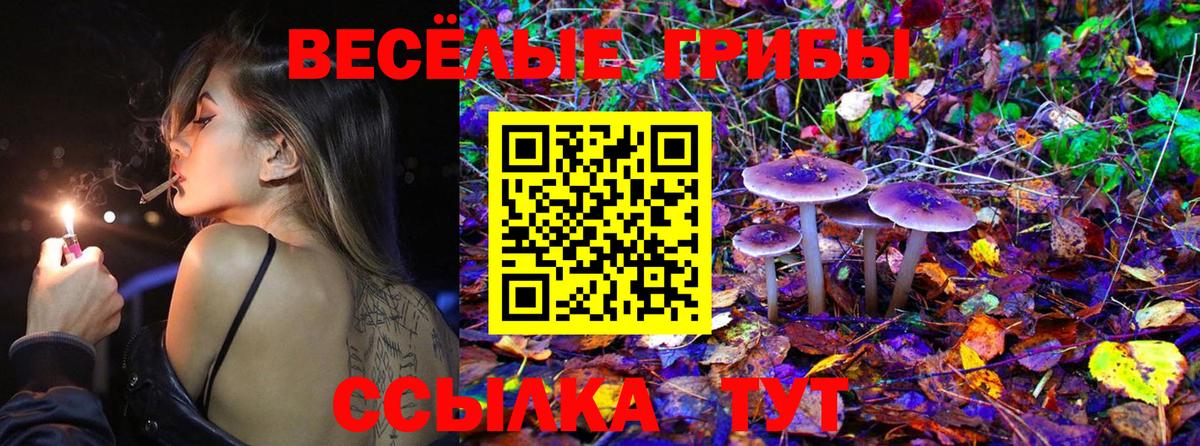Сафоново  Галлюциногенные грибы GOLDEN TEACHER  Галлюциногенные грибы Psilocybine cubensis  Вход с VPN 