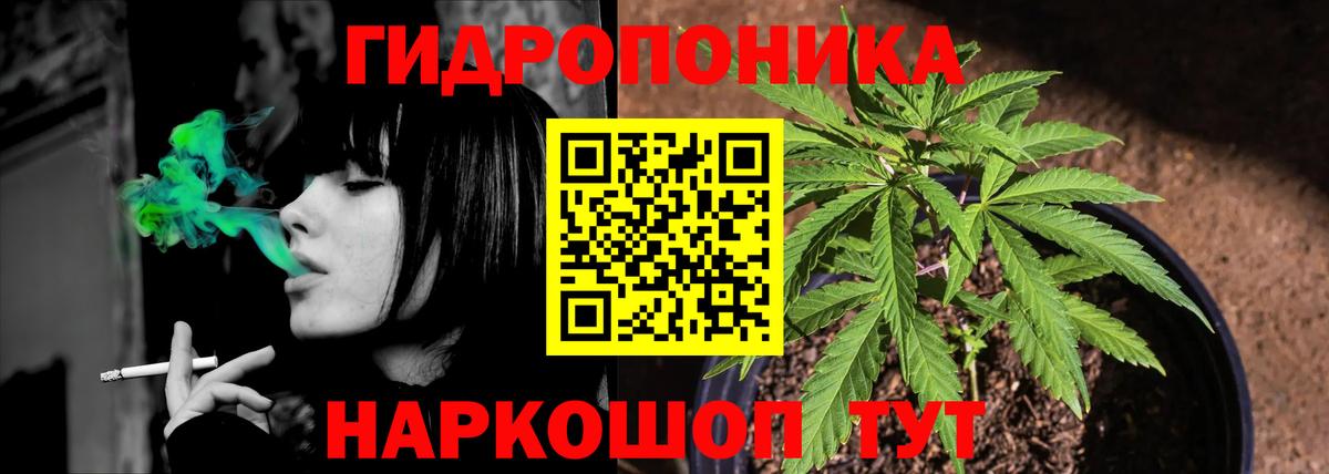 Канабис план  Бошки марихуана Bruce Banner  Сафоново  Каннабис OG Kush 